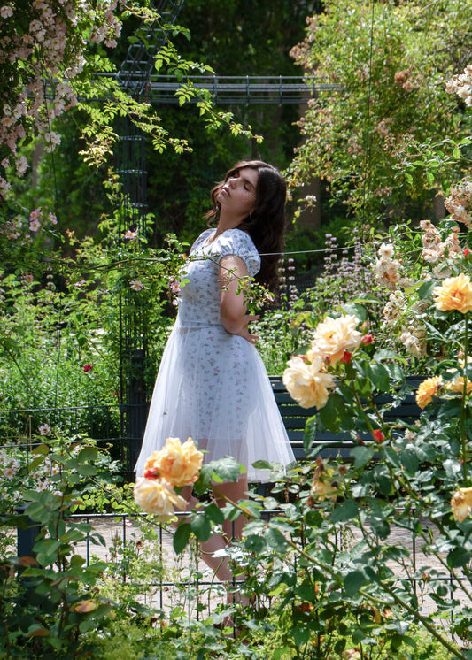 The Dreamy Tulle Dress