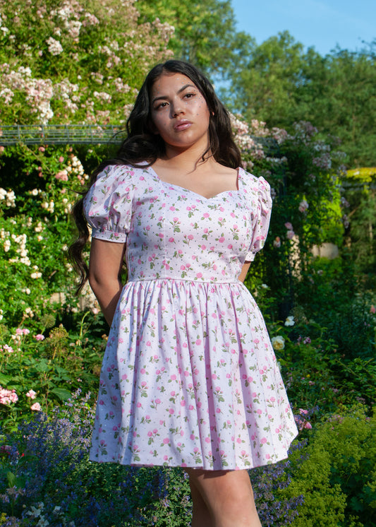 The Glamour Rose Dress