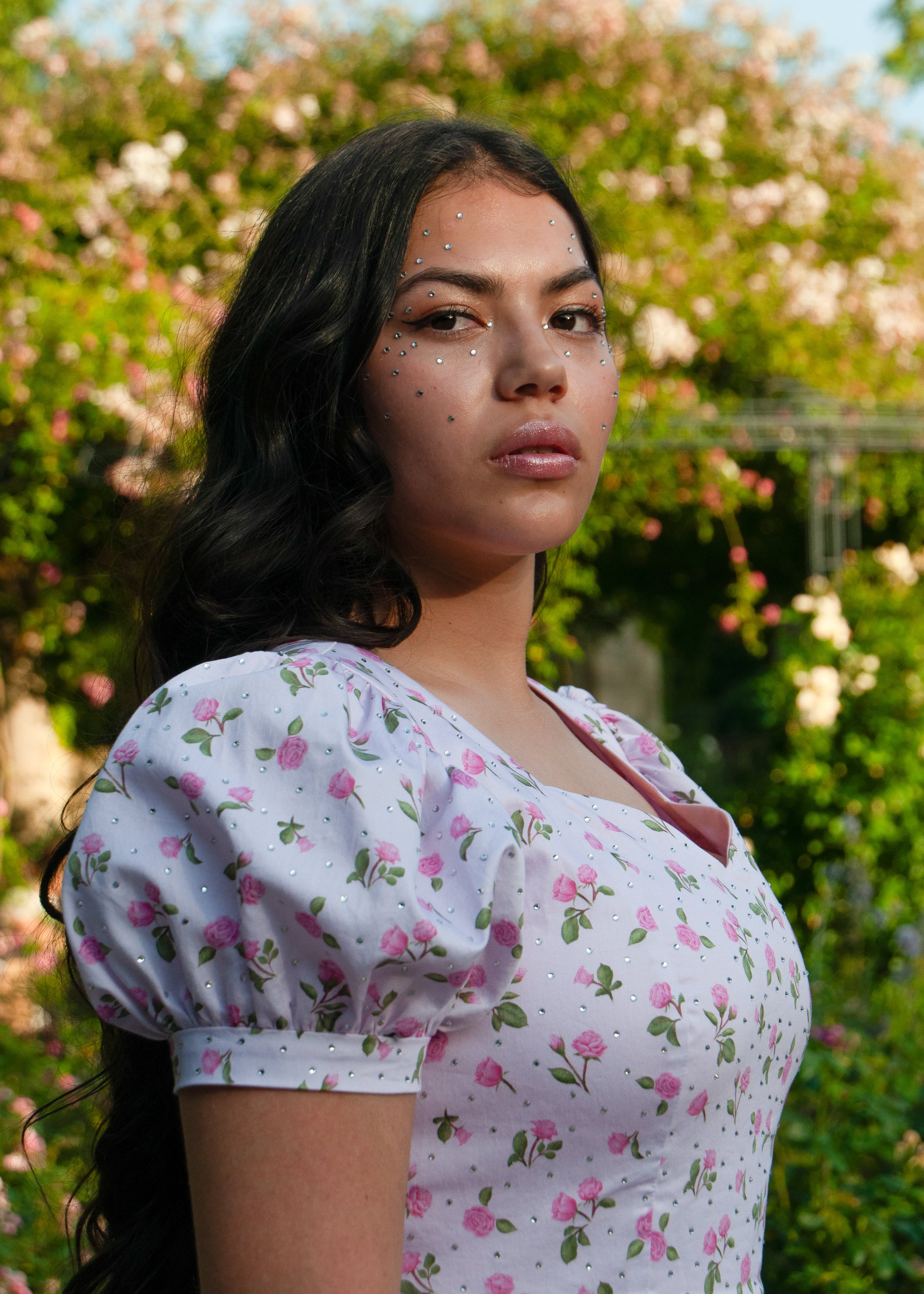 The Glamour Rose Dress